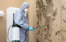 Mold Remediation for Rental Properties in Mobridge, SD